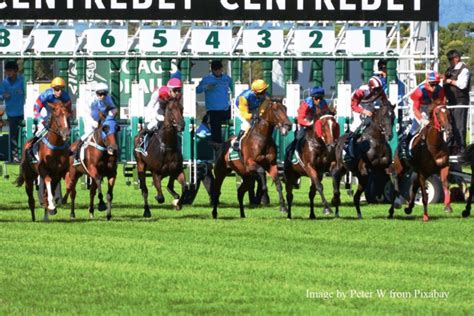 Using Horseracebase to Narrow Down a Big Field .